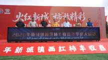 【职业教育活动周】劳动铸就梦想，数字赋能振兴——365官网师生深度参与新城镇西红柿丰收嘉年华